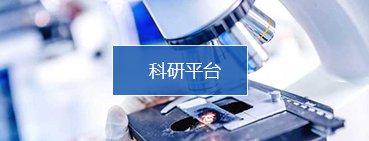 校外科研院所导师30余人